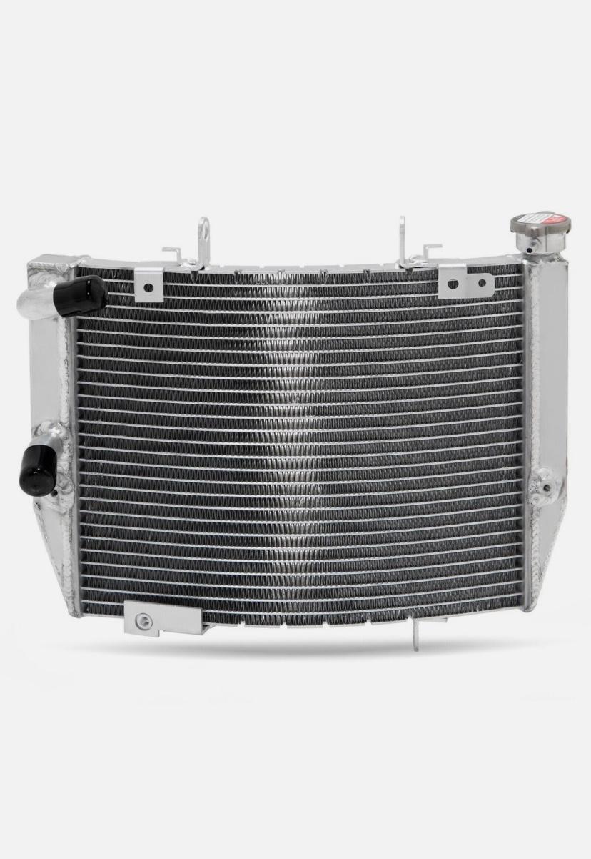 Radiator Suitable For Street Triple 765 2017-